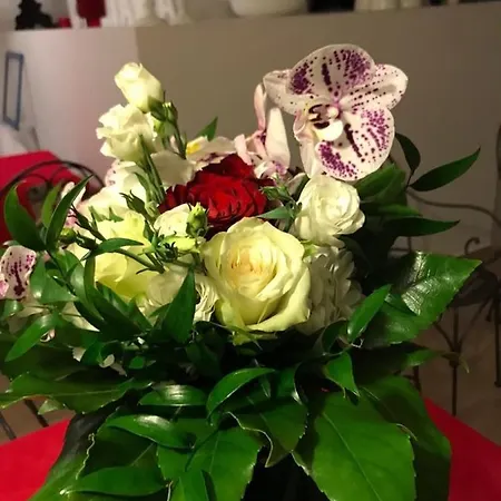 Bed & Breakfast Ascoli Bonjour & Parcheggio Privato & Giardino Ascoli Piceno